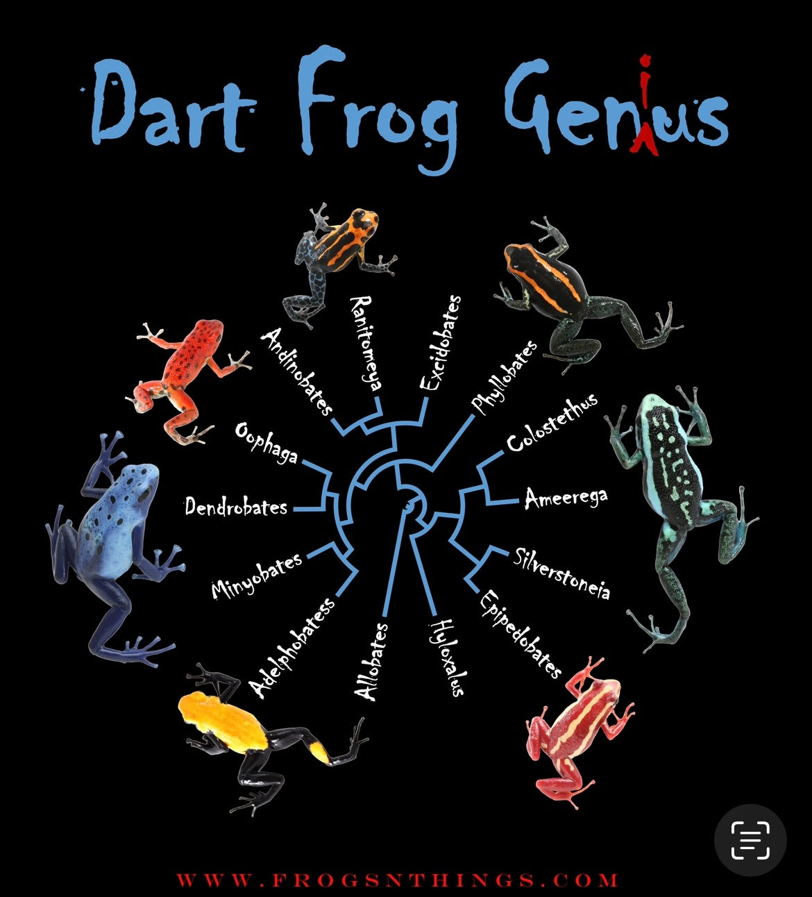 Dart Frog Genus T-Shirt (Gildan)