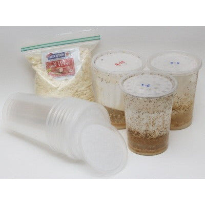 Fruit Fly Starter Kit