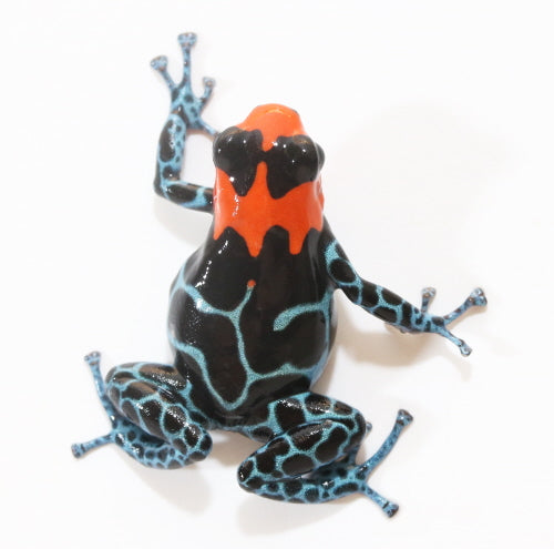 R. Benedicta