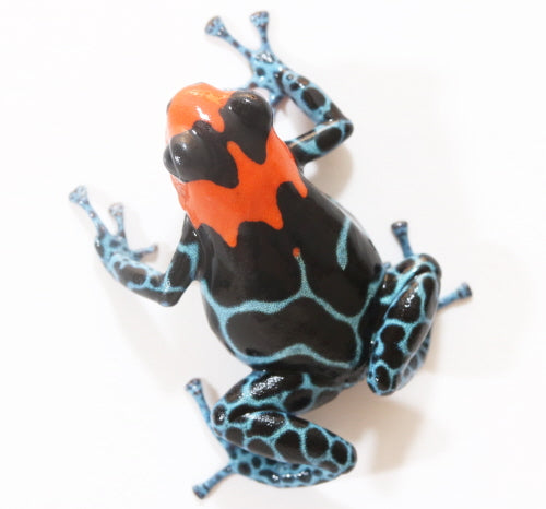 R. Benedicta