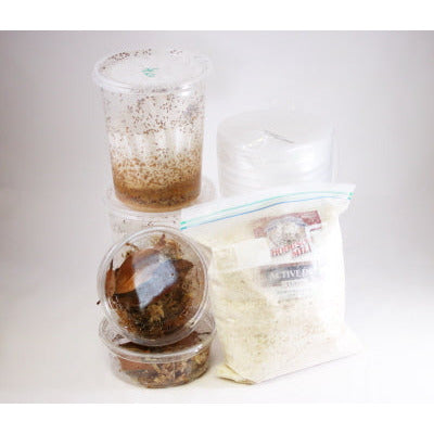 Hobby Starter Kit
