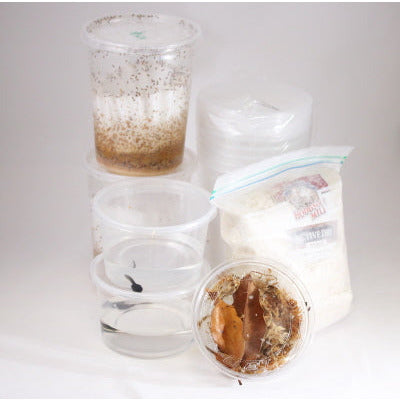 Science Project Kit
