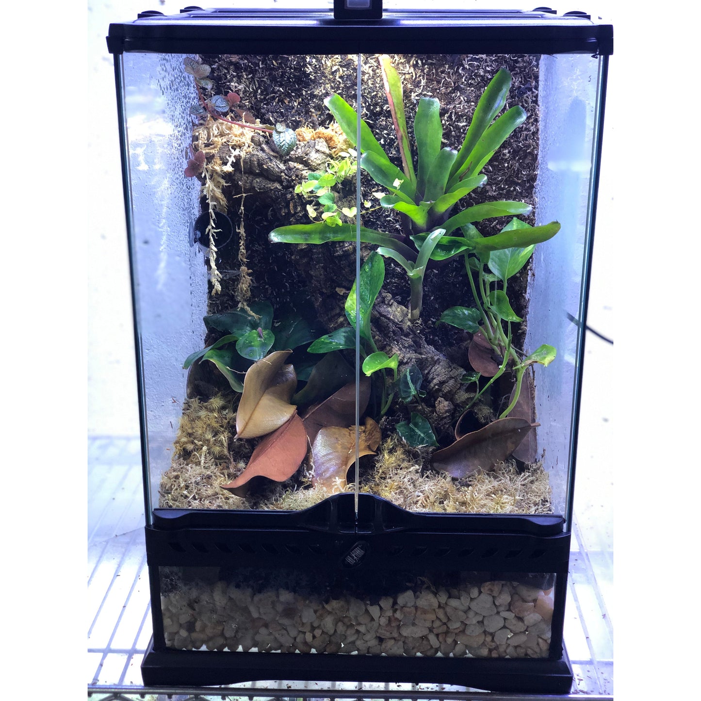12x12x18in Vertical Thumbnail Setup