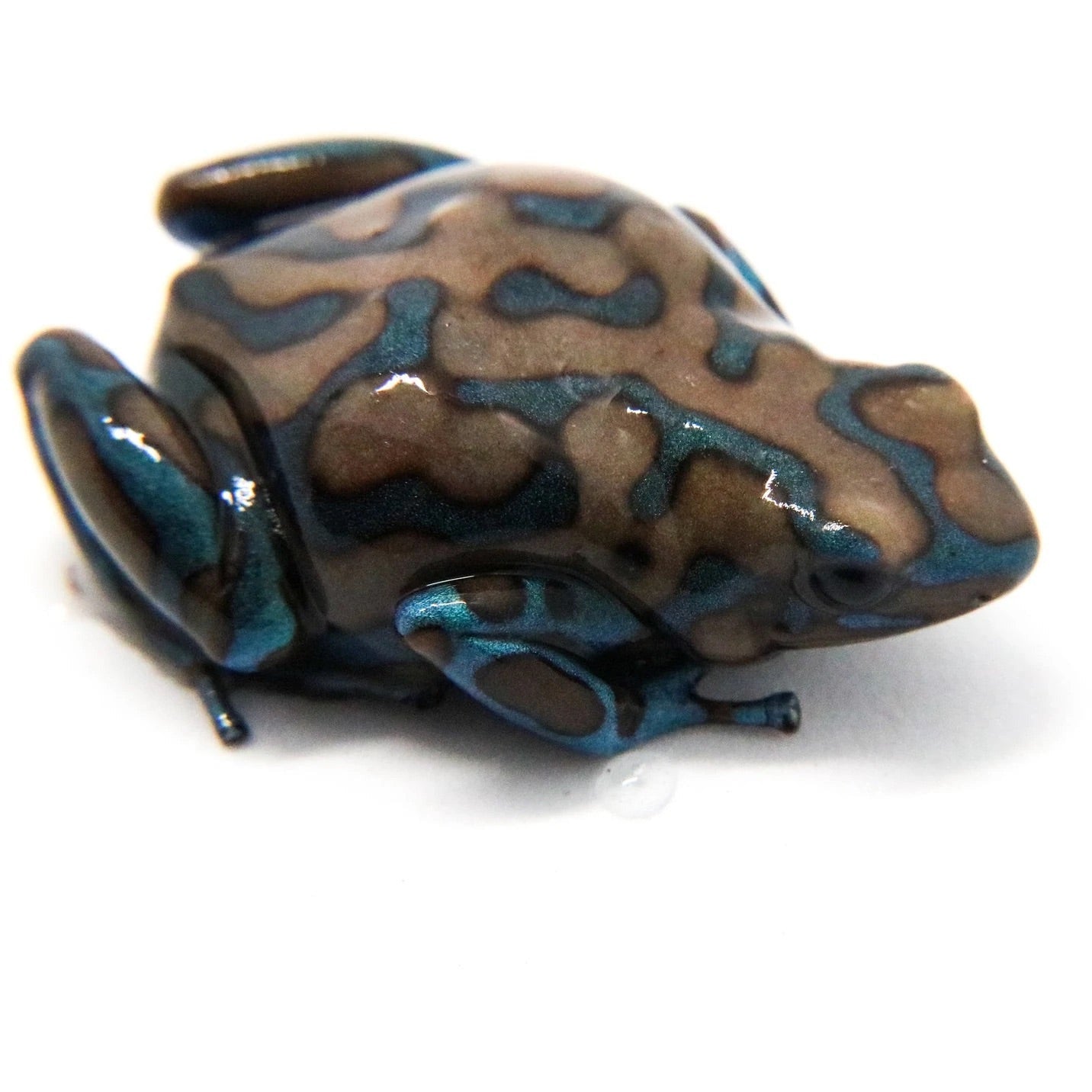D. Auratus - Green/White
