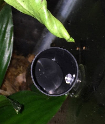 Black Film Canister with Suction Cup